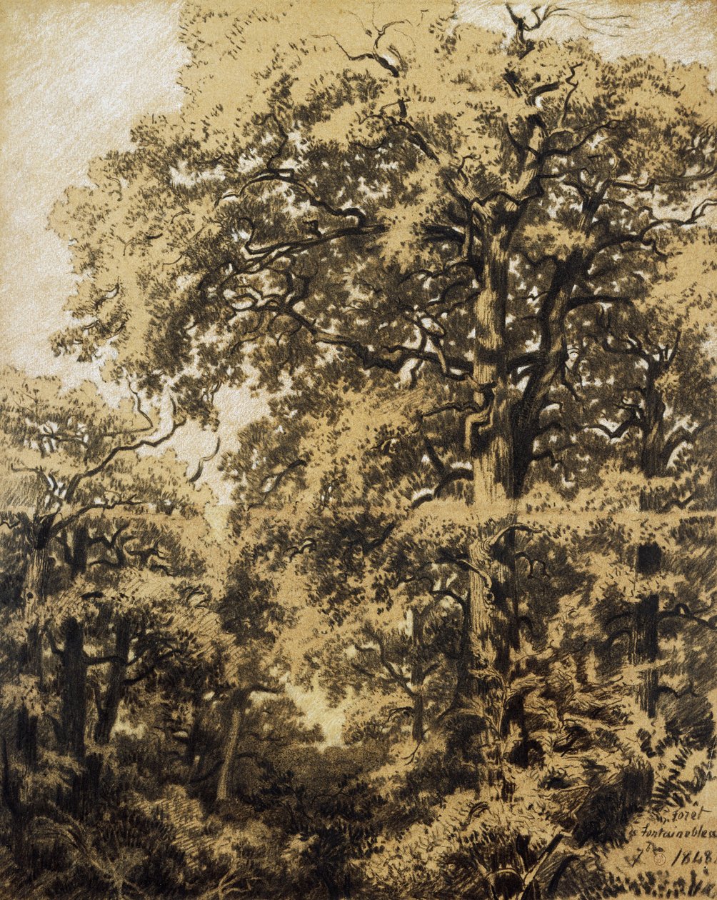 Bos van Fontainebleau door Francesco Gamba