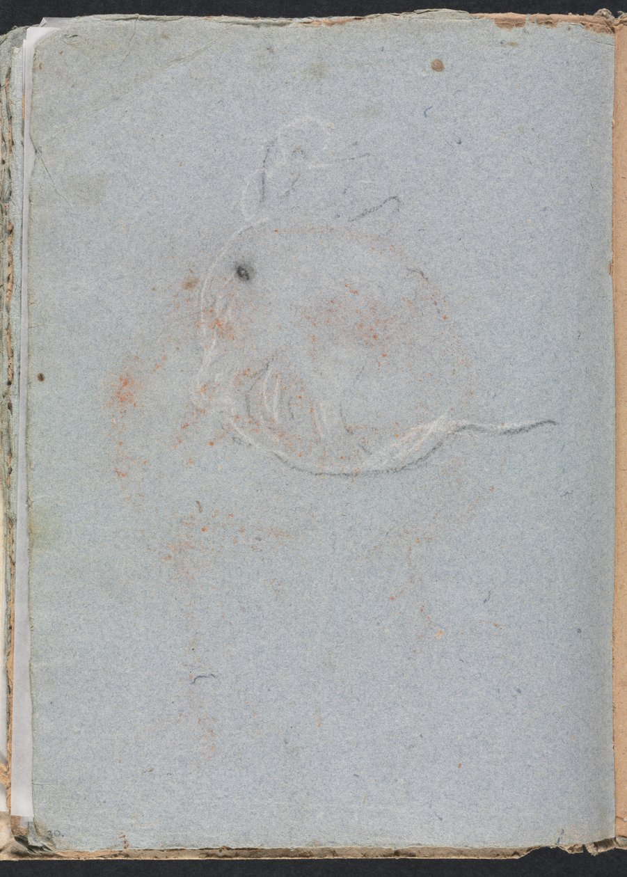 Verona schetsboek: Hoofd pagina 30, 1760 door Francesco Lorenzi