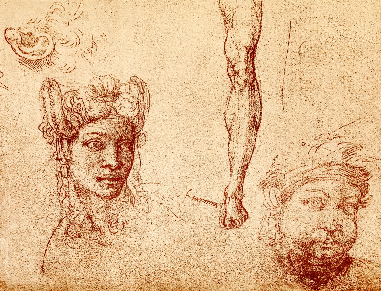 Hoofd- en Beenstudies door Francesco Ubertini Bacchiacca
