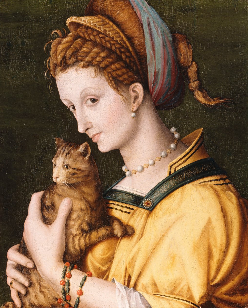 Dame met een kat, ca. 1525-30 door Francesco Ubertini Bacchiacca