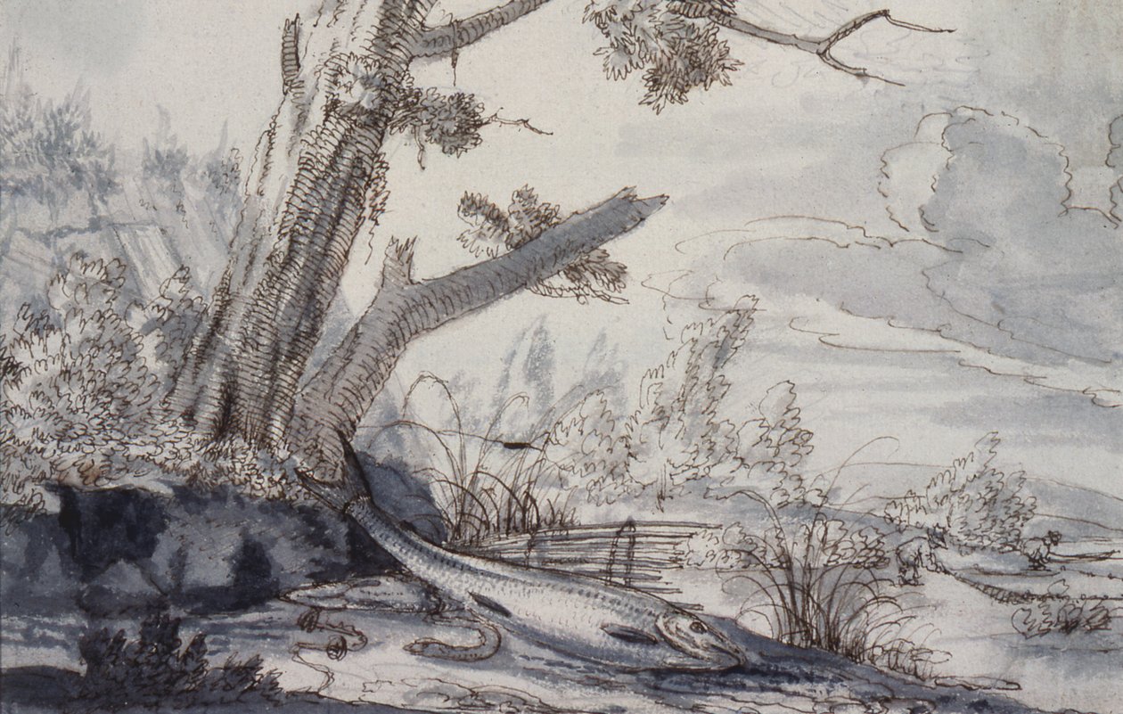 Patrijzen en watersnip door Francis Barlow