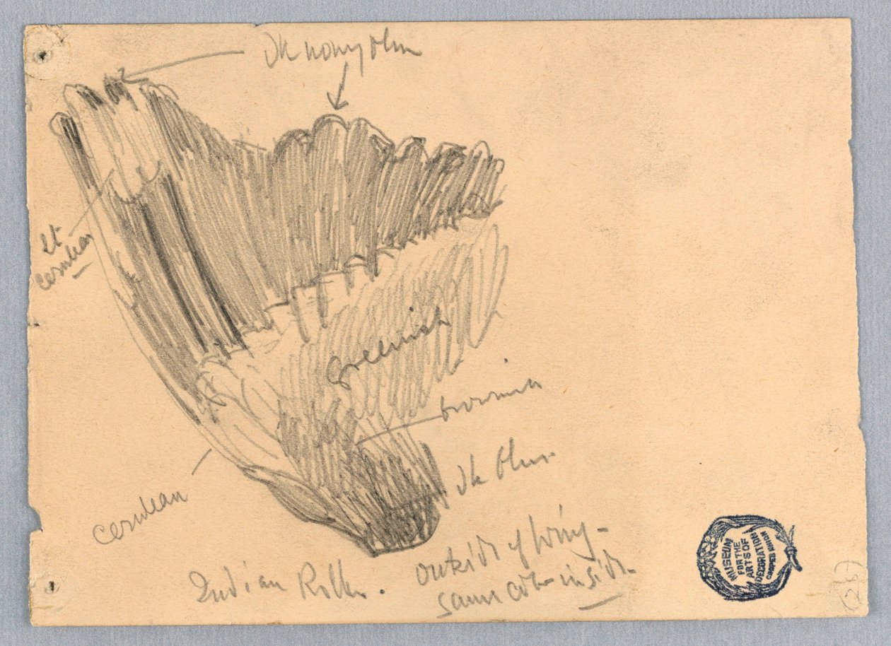 Schets van een vleugel door Francis Augustus Lathrop