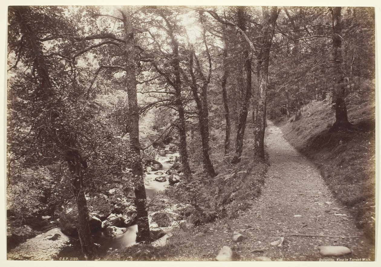 Dolgelley, Zicht in Torrent Walk door Francis Bedford