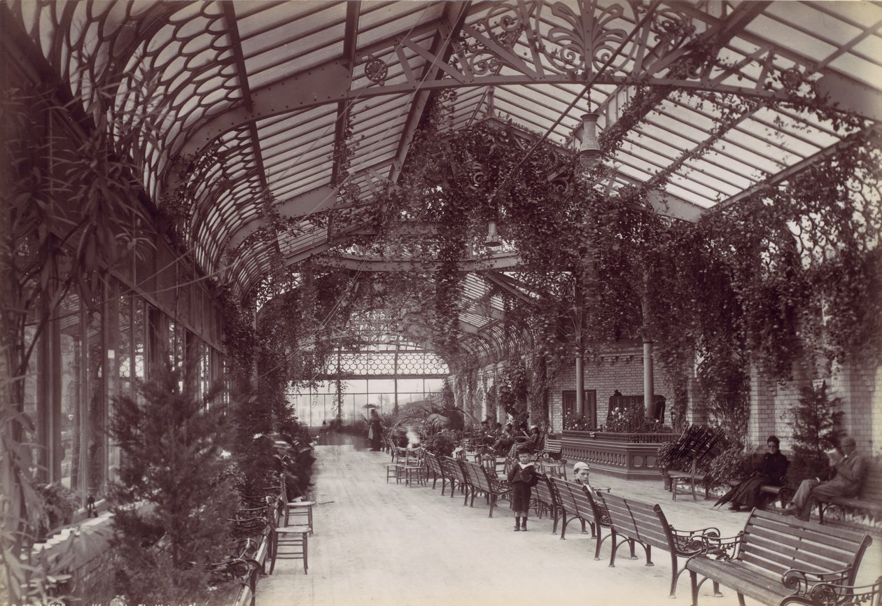 Ilfracombe, De Victoriaanse Promenade, 1870s door Francis Bedford
