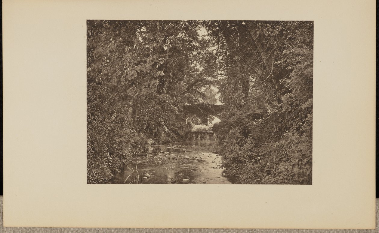 Op de rivier Taunton door Francis Frith and Co.