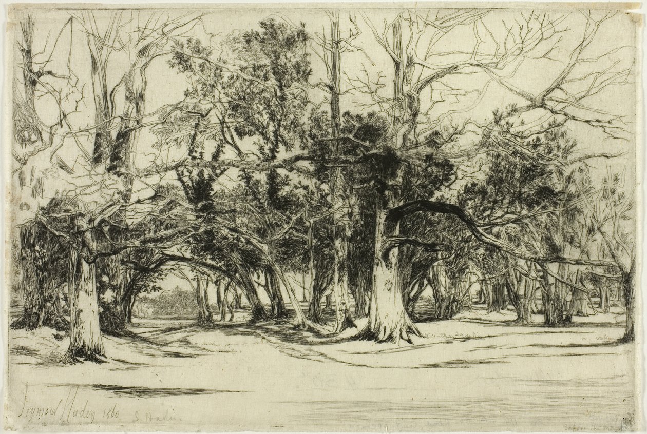 Een zijweg in Tipperary door Francis Seymour Haden