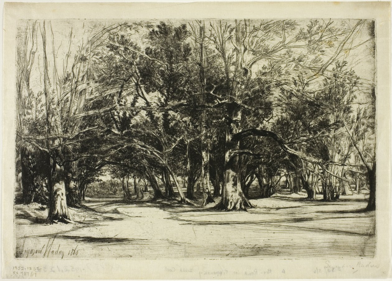 Een Zijweg in Tipperary door Francis Seymour Haden