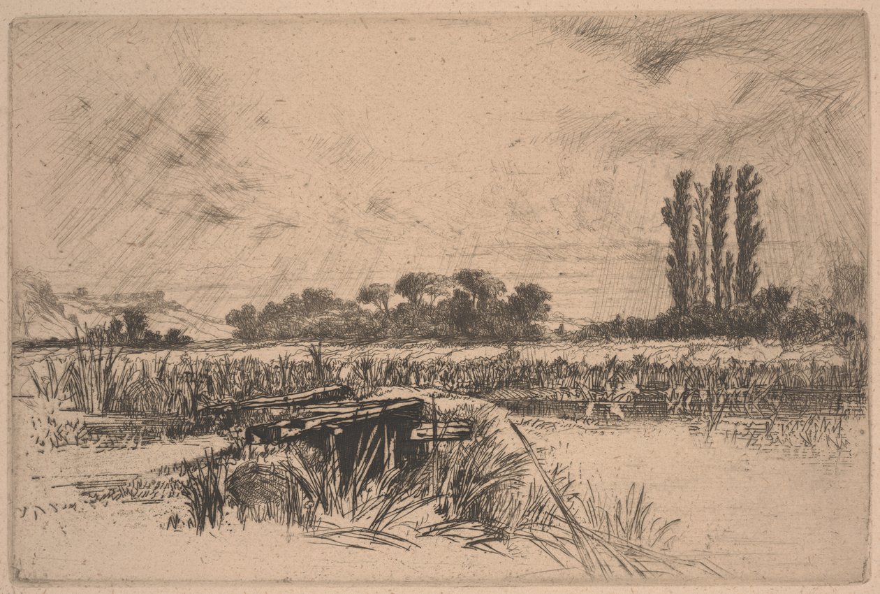 Een Waterweide door Francis Seymour Haden