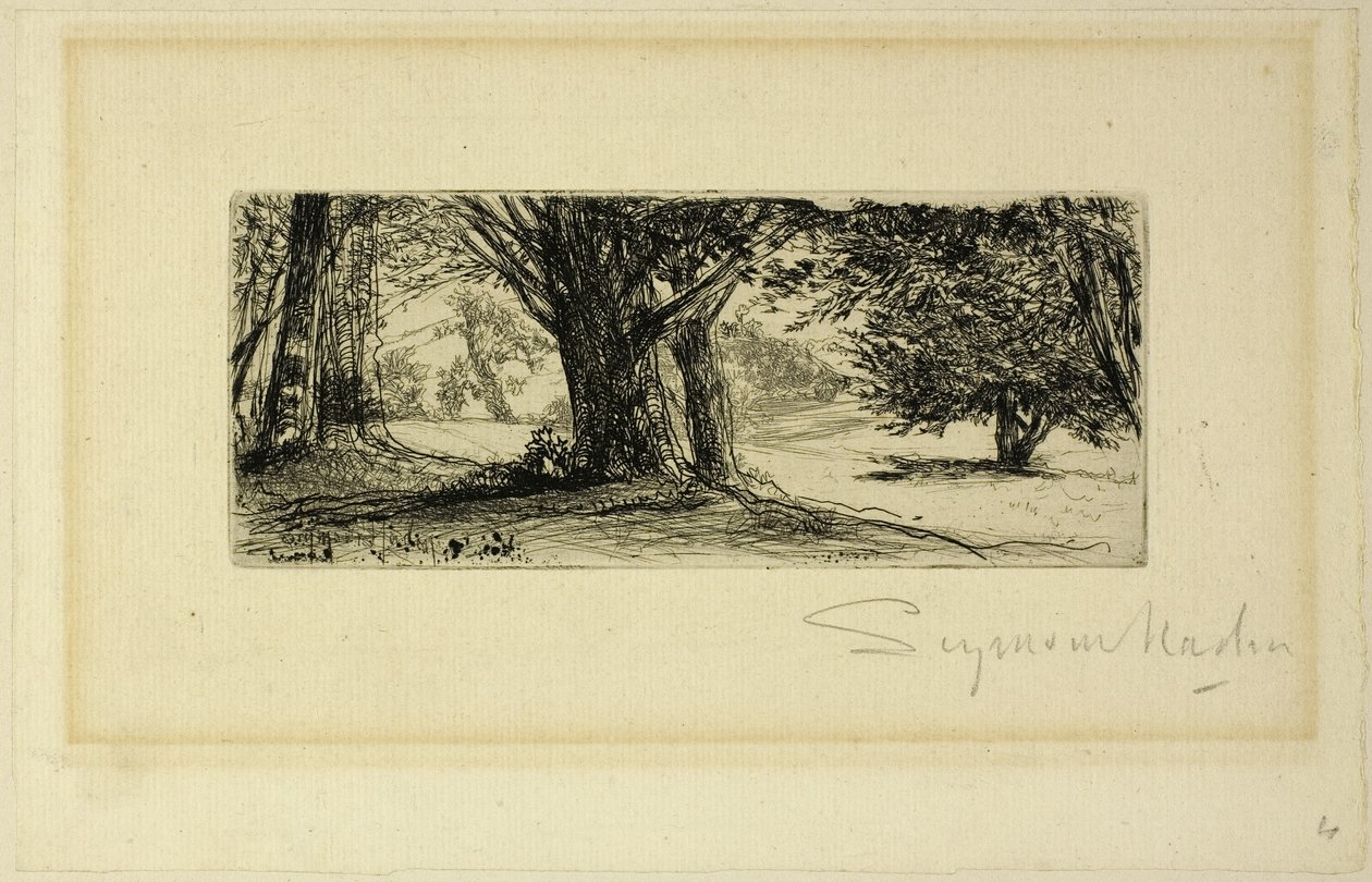 De hulvelden door Francis Seymour Haden