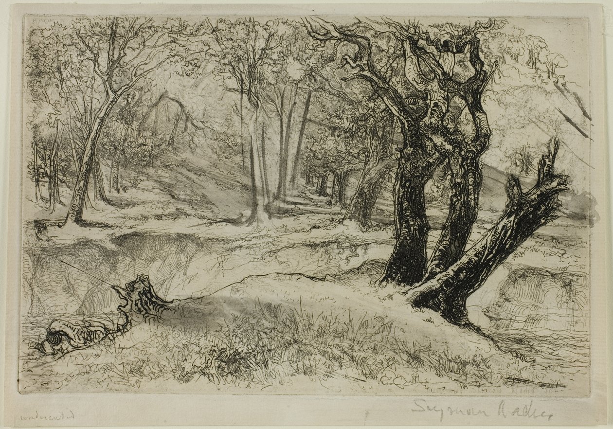 De drie zusters door Francis Seymour Haden