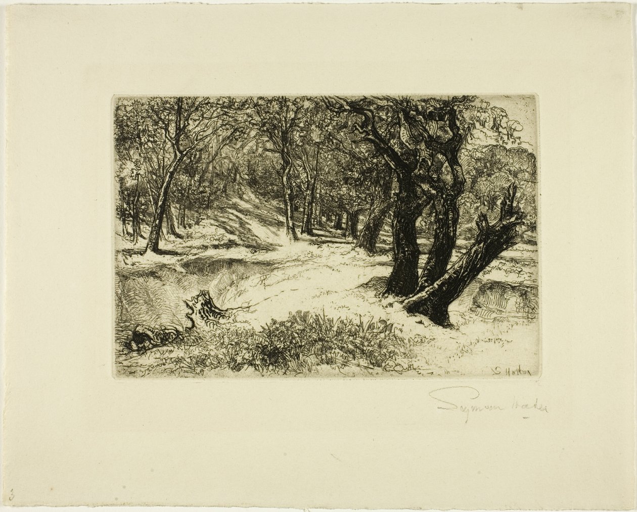 De Drie Zusters door Francis Seymour Haden