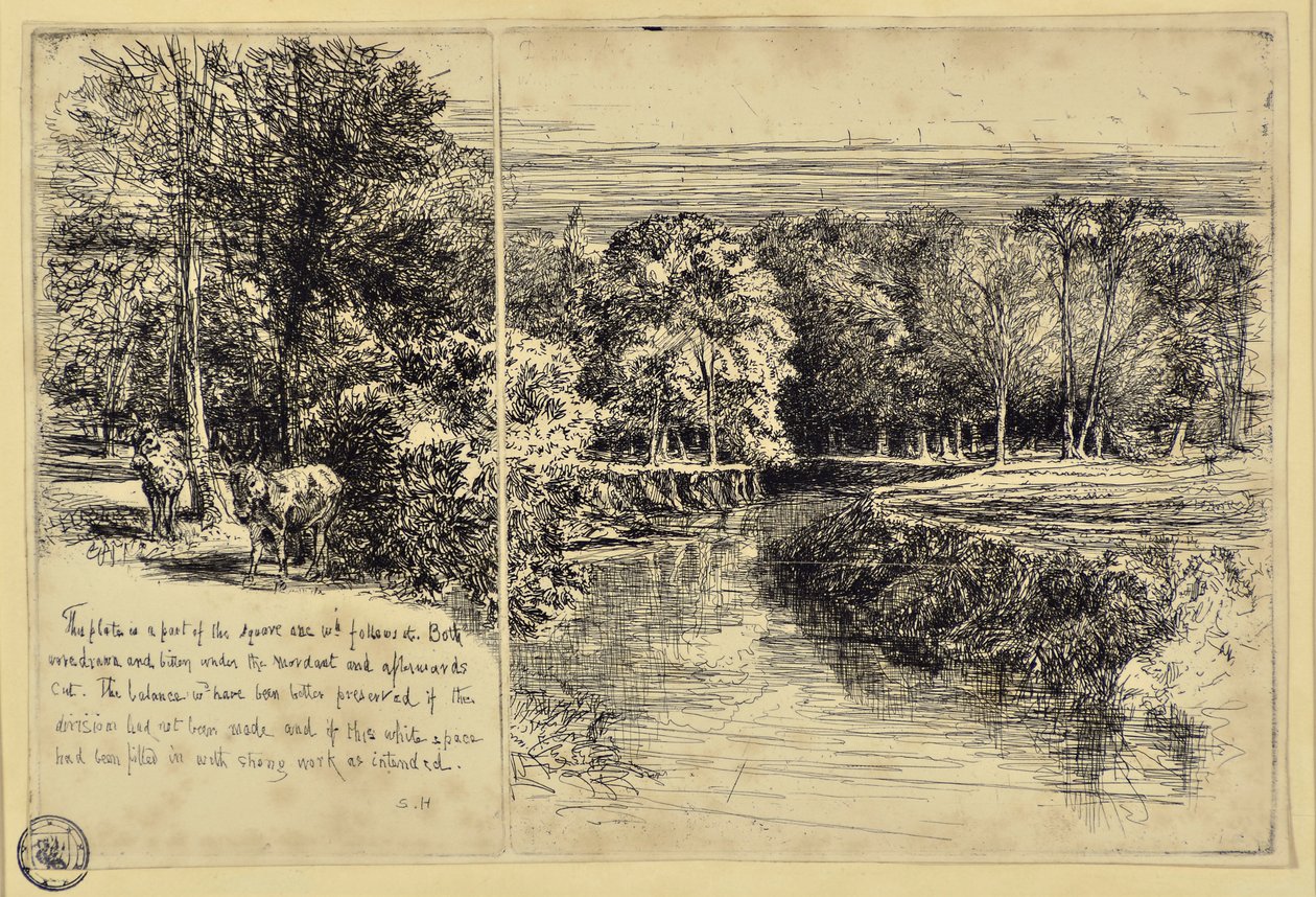 De Twee Ezel en de Dundrum Rivier door Francis Seymour Haden