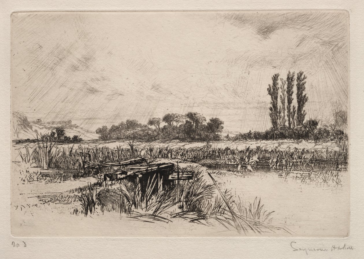 Waterweide door Francis Seymour Haden
