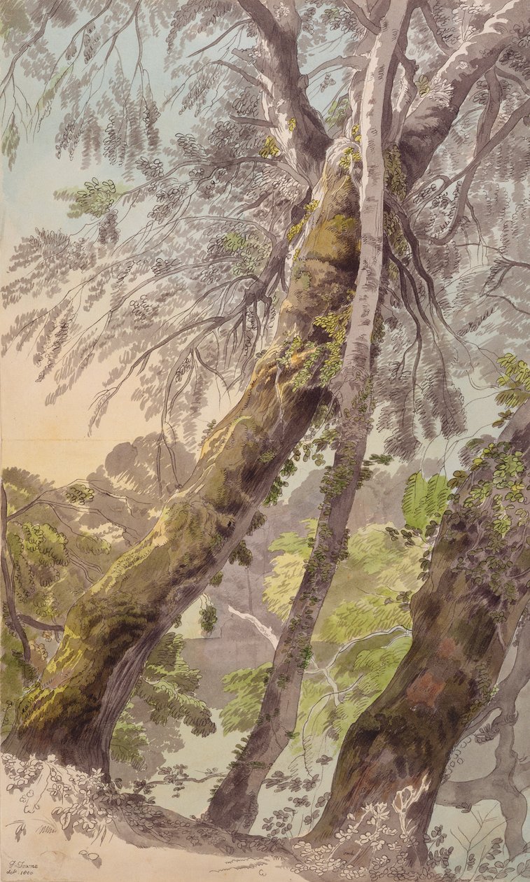 Bomen Overhangend Water door Francis Towne