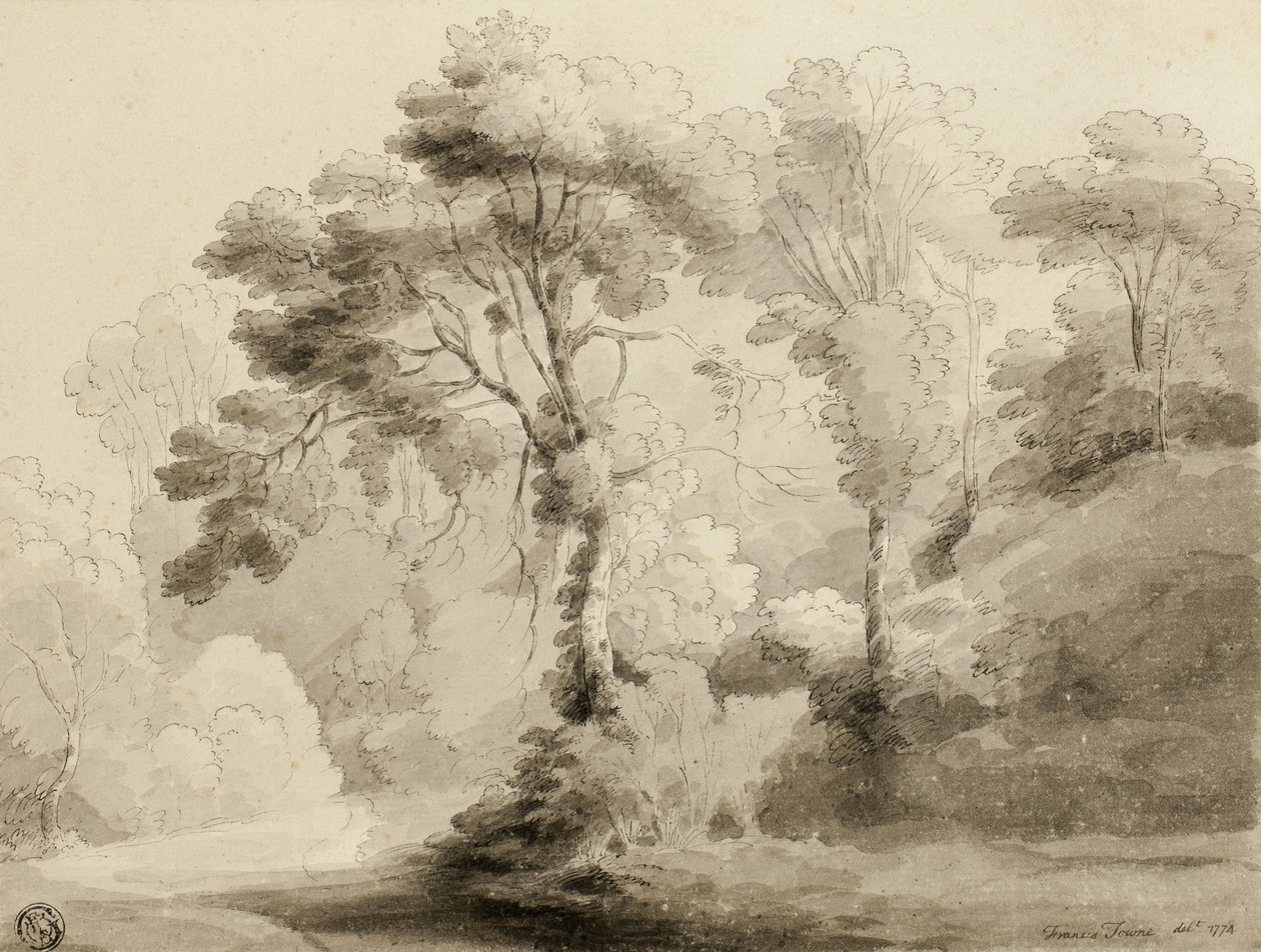 Bosrijk landschap door Francis Towne