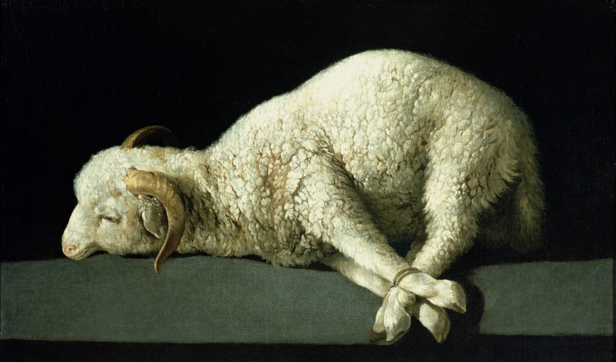 Agnus Dei, c.1635-40 door Francisco de Zurbaran