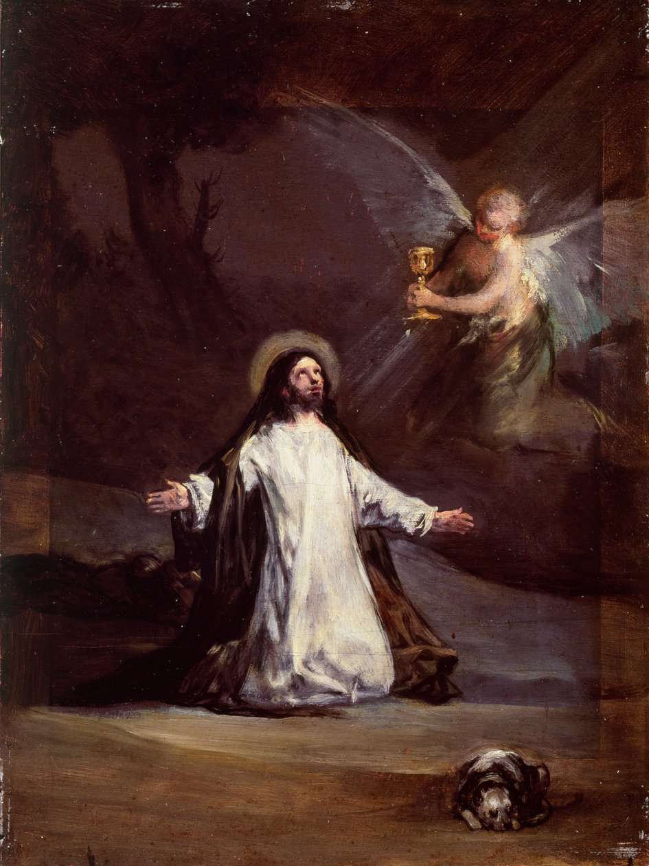Onbekend schilderij door Francisco de Goya