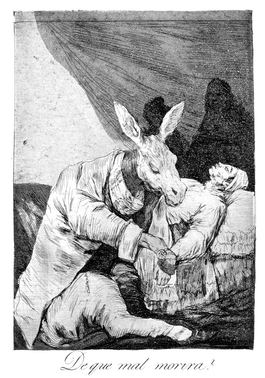 Aan welke ziekte stierf hij door Francisco de Goya