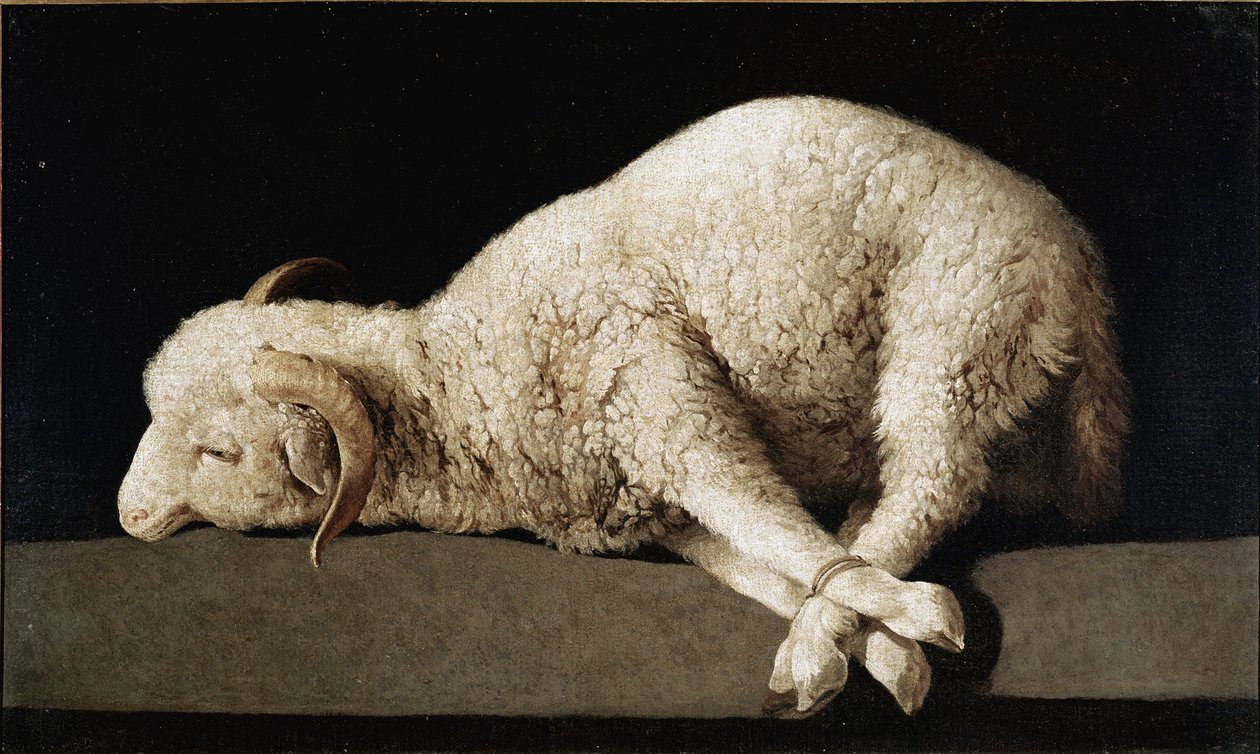 Agnus Dei door Francisco de Zurbaran