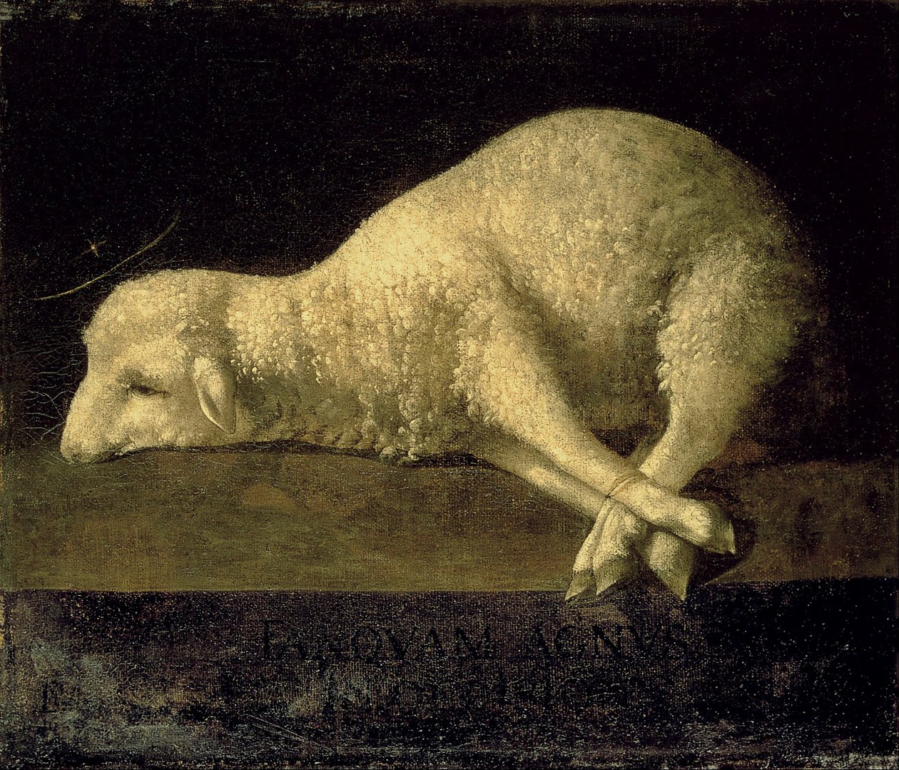 Agnus Dei door Francisco de Zurbaran