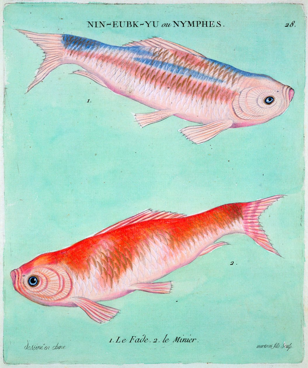 Chinese goudvis door Francois Nicolas Martinet