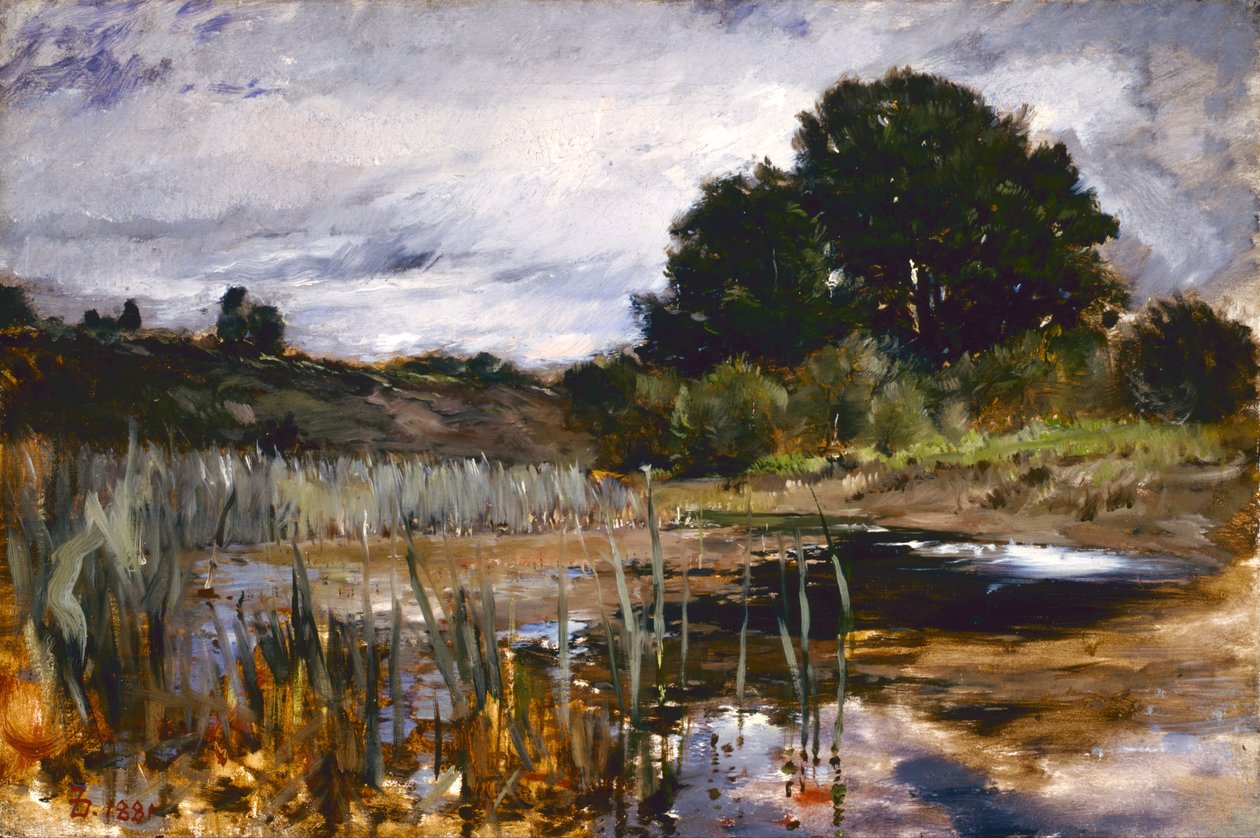 Polling landschap door Frank Duveneck