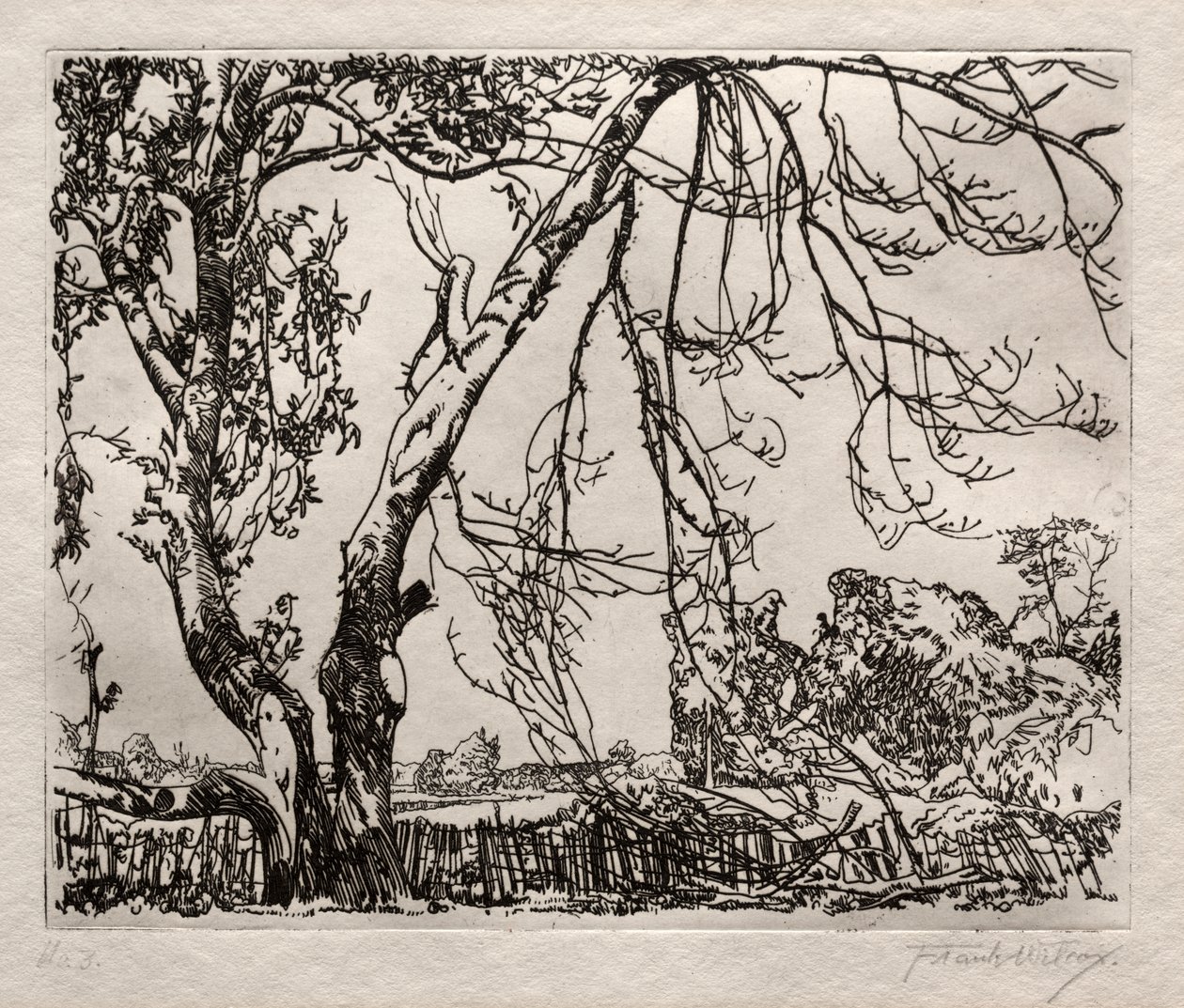 Appelboom door Frank Wilcox