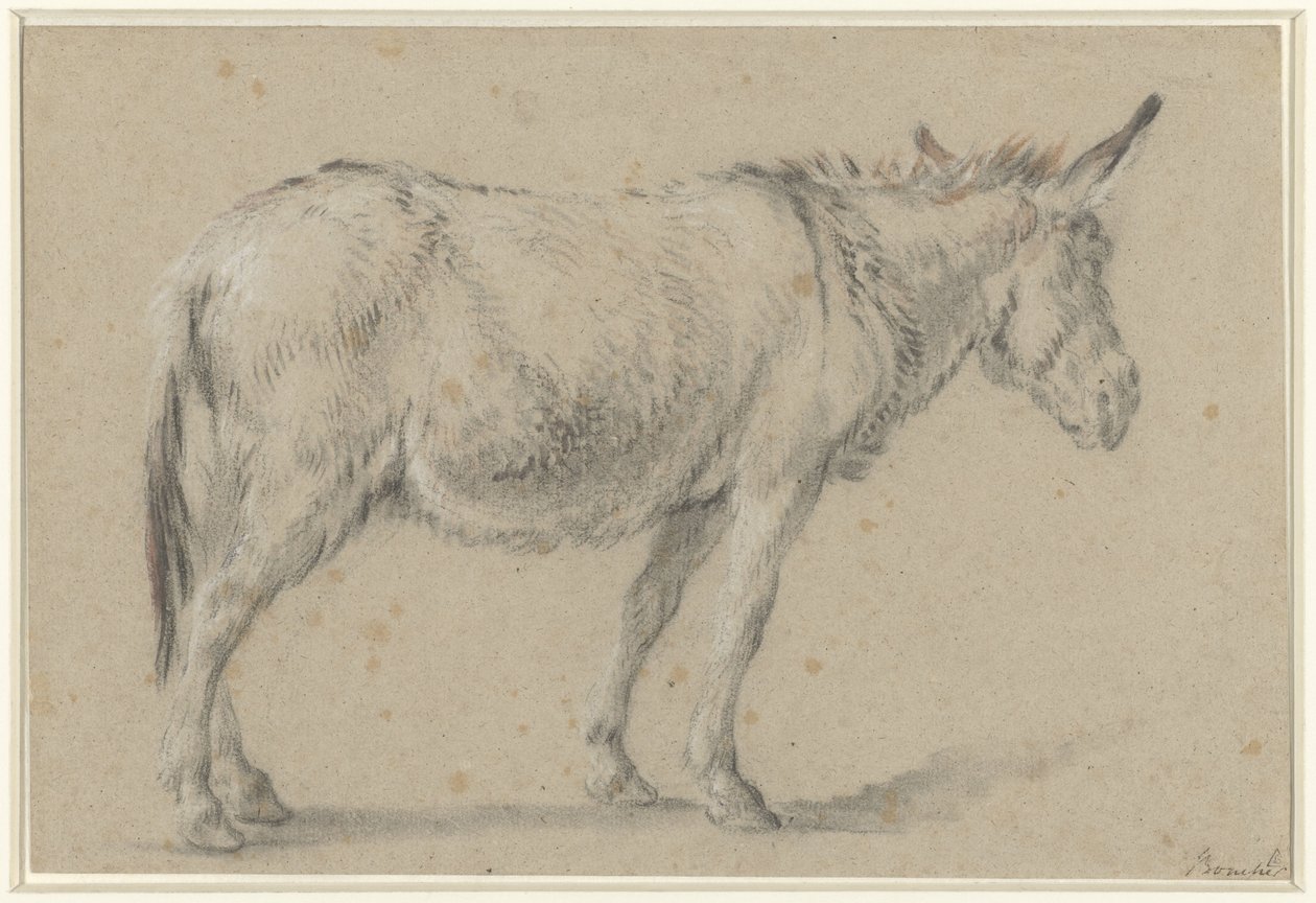 Staande ezel, naar rechts door François Boucher (possibly)