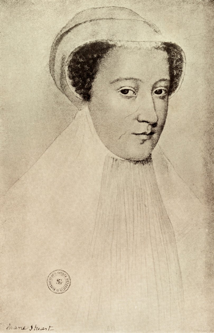 Mary Queen of Scots, 1909 door François Clouet