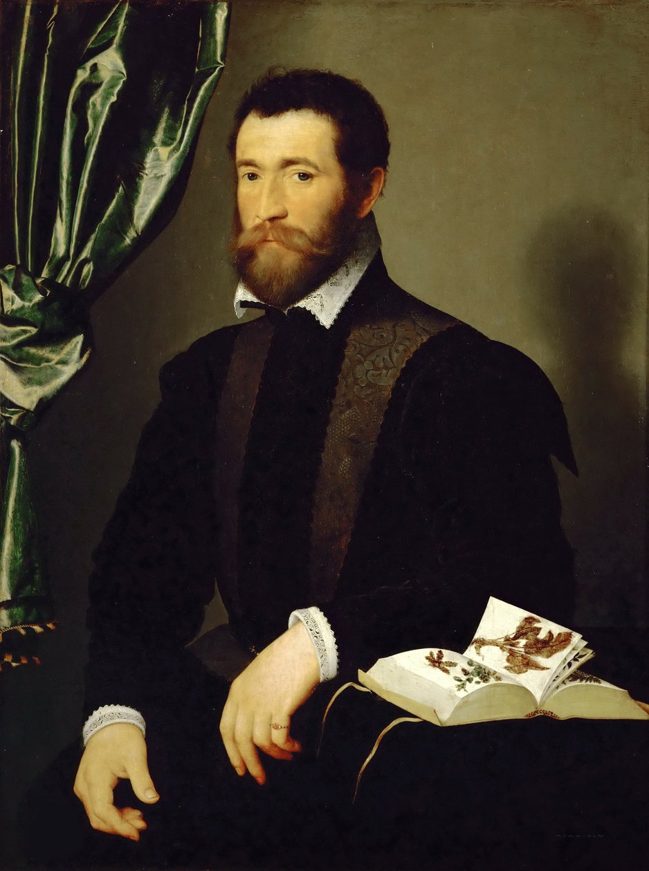 Portret van Pierre Quthe, apotheker, 1562 door François Clouet