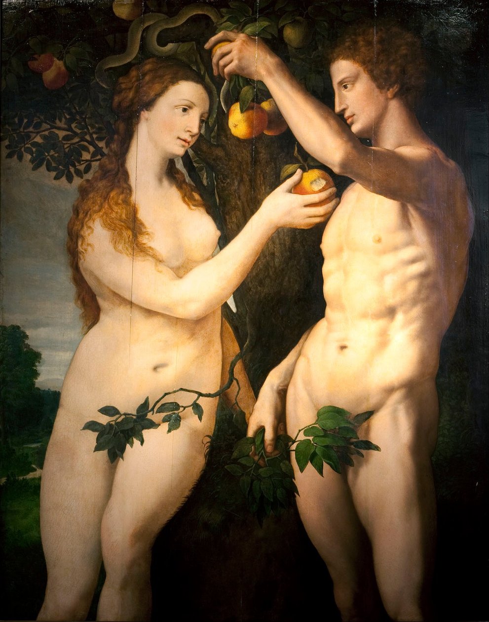 De Val van de Mens door Frans Floris