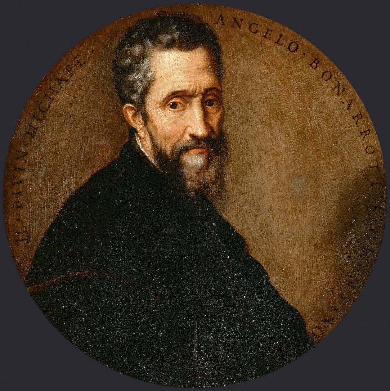 Michelangelo Buonarroti door Frans Floris