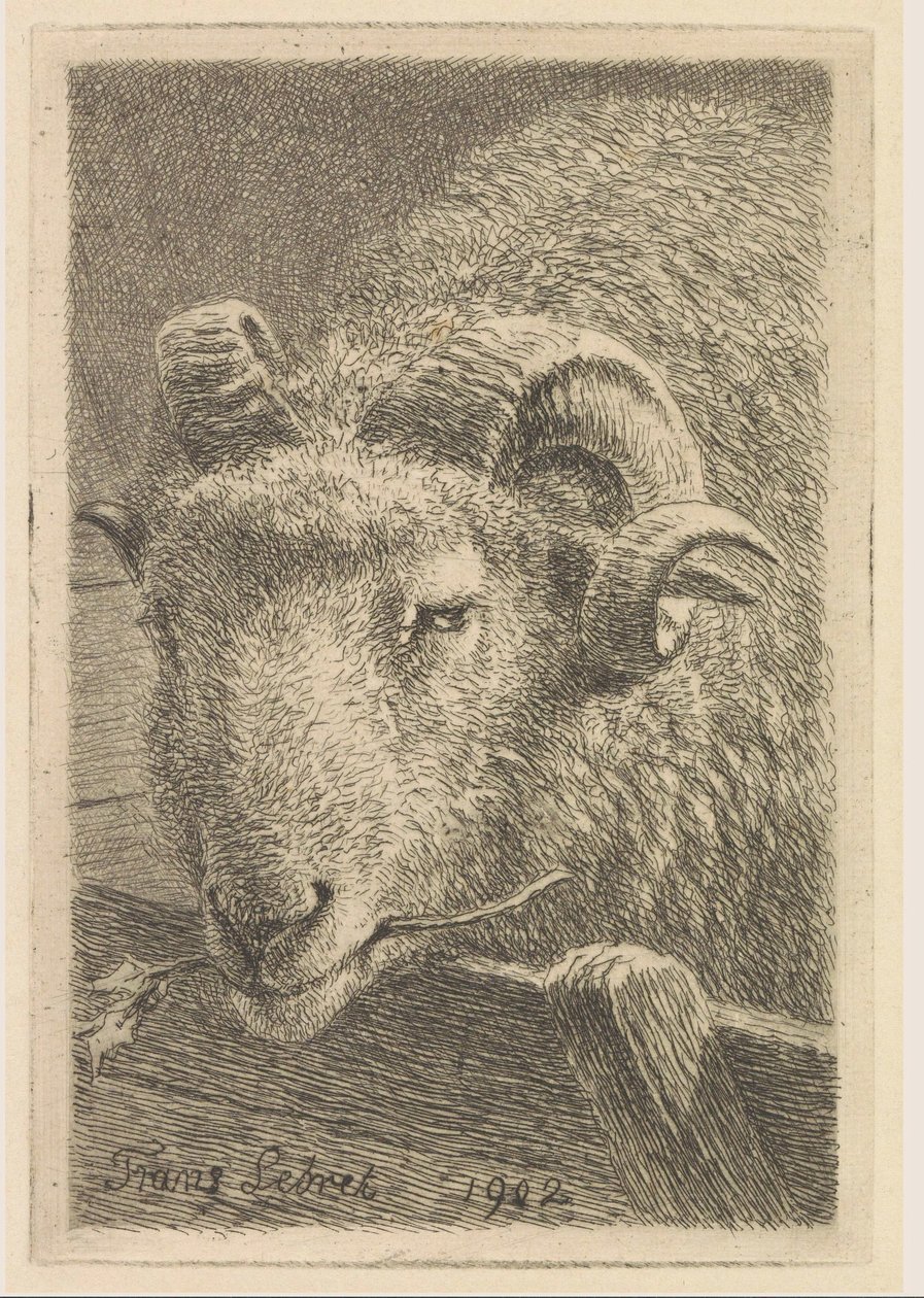 Kop van een ram door Frans Lebret