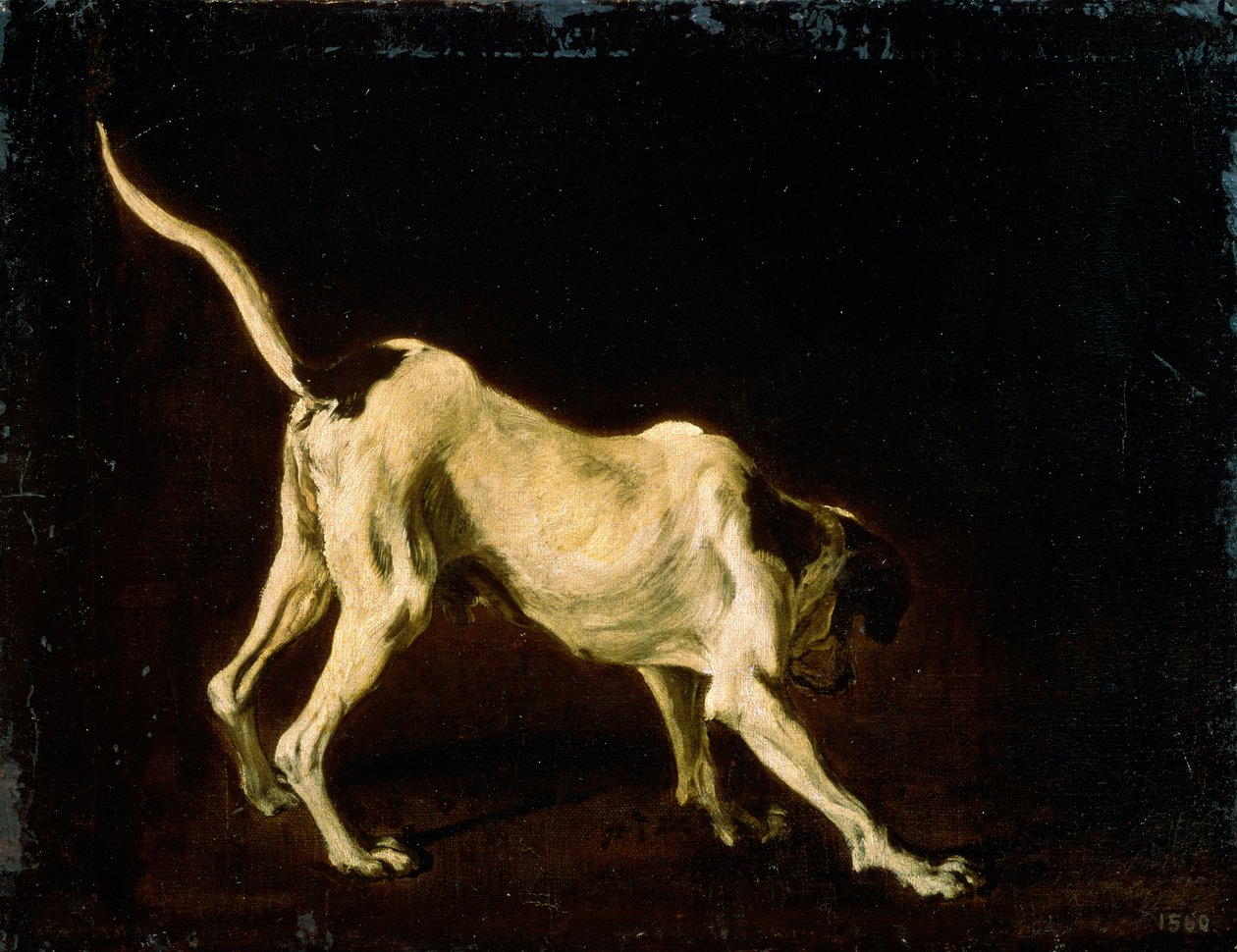 Een Hond, 17e eeuw door Frans Snyders or Snijders