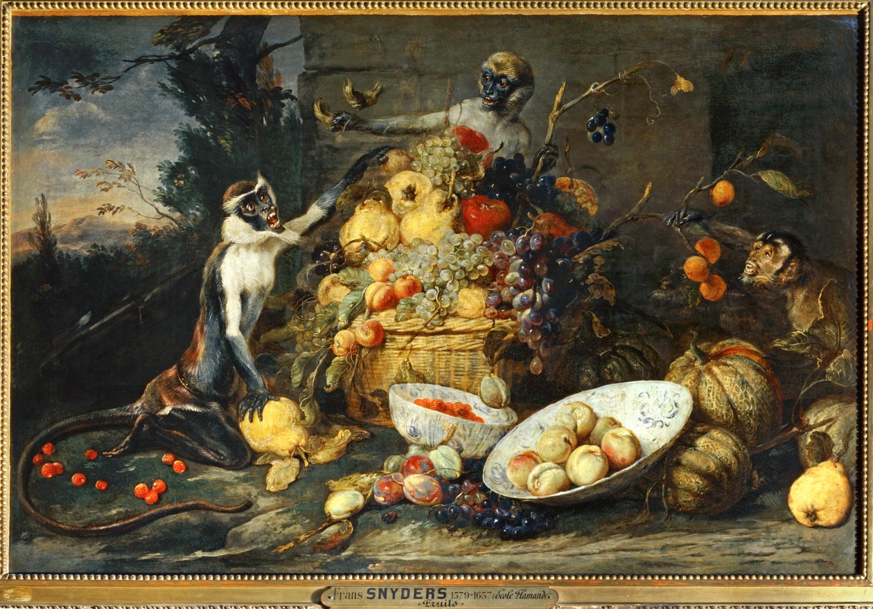 Drie apen, fruitdieven ... door Frans Snyders