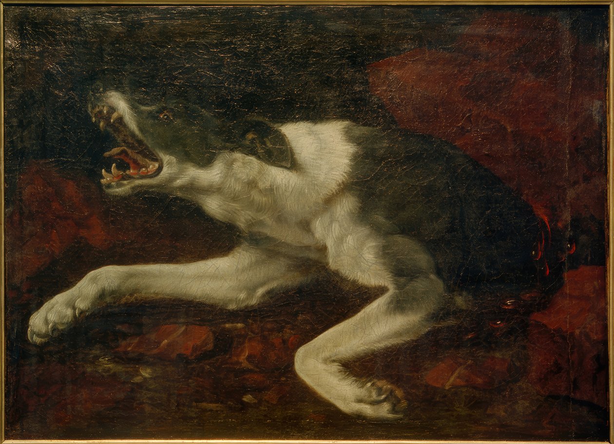 Gewonde hond door Frans Snyders or Snijders