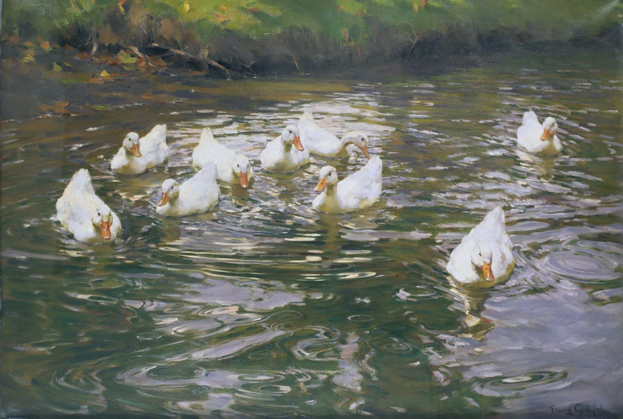 Witte Eenden op Water door Franz Grassel