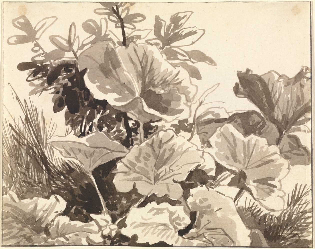 Studie van hoefbladbladeren door Franz Innocenz Kobell