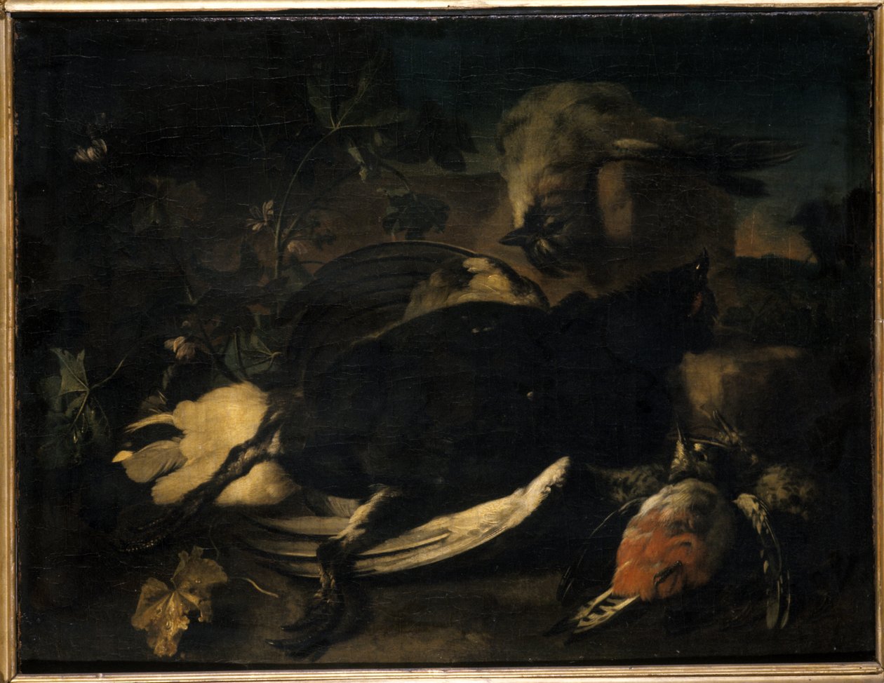 Dode vogels door Franz Werner Tamm