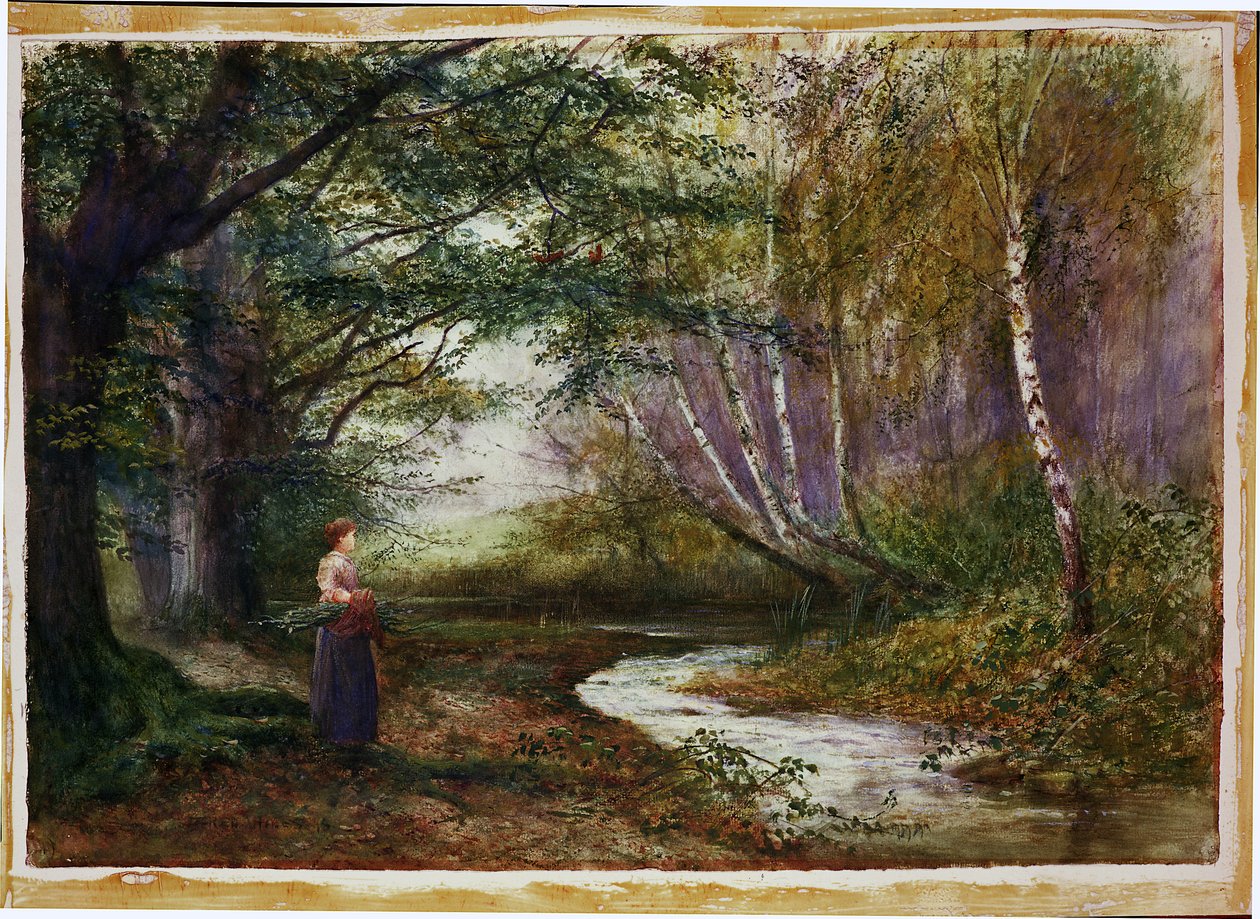 Burnham Beeches, herfst door Fred Hines