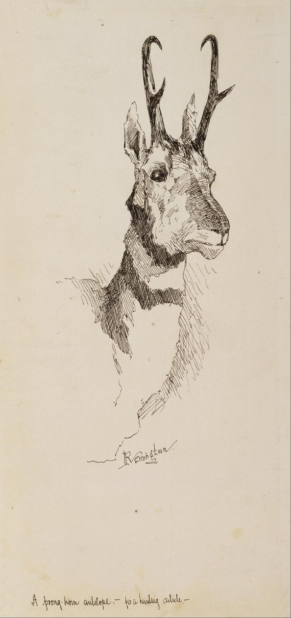 Een Pronghorn Antilope door Frederic Remington