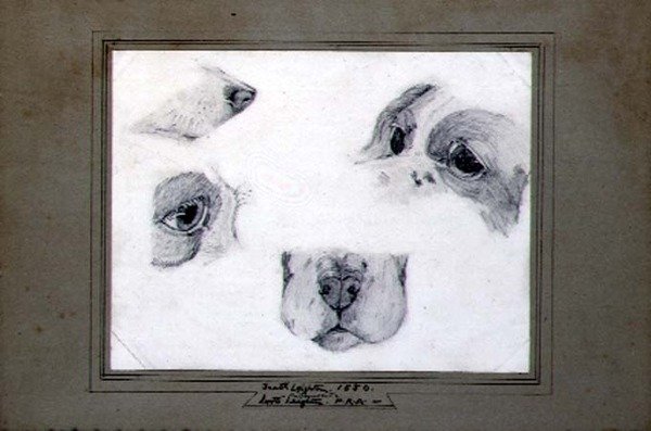 Studies van de Hond van de Kunstenaar door Frederic (attr. to) Leighton