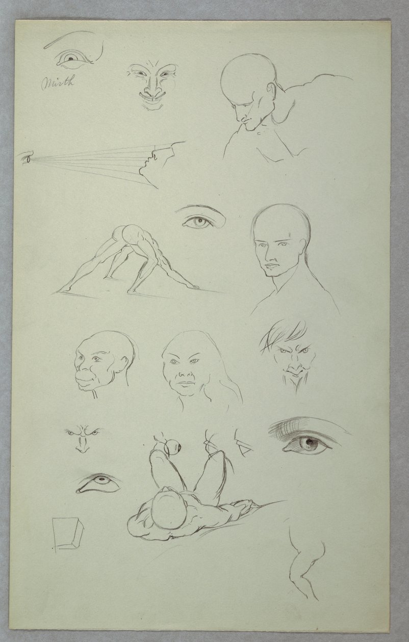 Anatomische Studies door Frederic Edwin Church