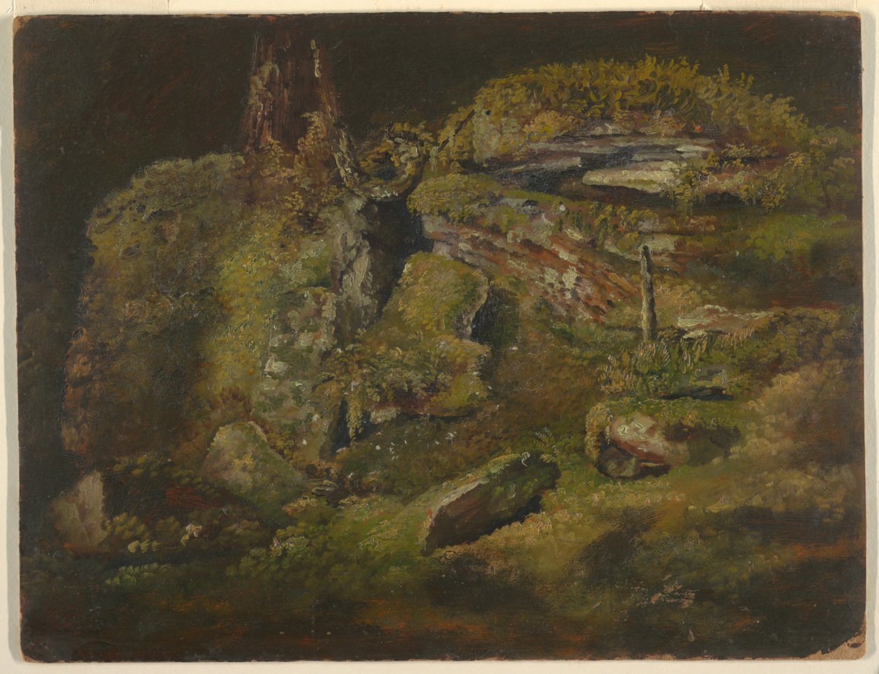 Rots in het Bos door Frederic Edwin Church