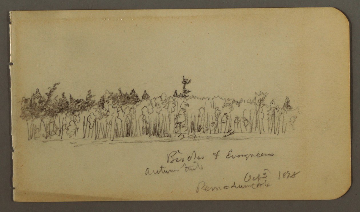 Tekening, Bosachtige oever, 1878 door Frederic Edwin Church