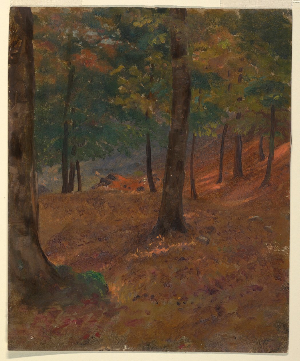 Tekening, Boslandschap, 1870-80 door Frederic Edwin Church