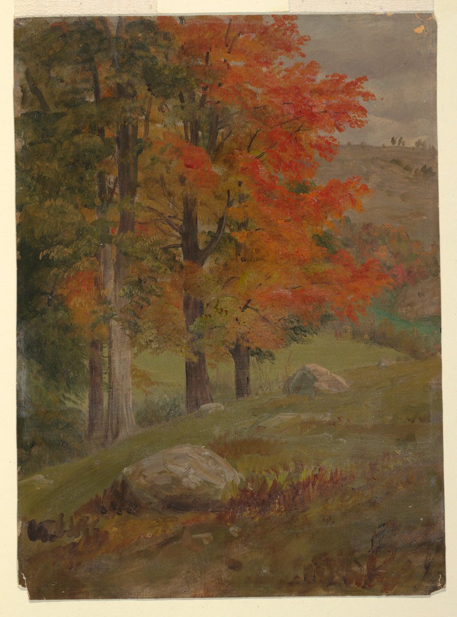 Tekening, Bos in de herfst, 1865 door Frederic Edwin Church