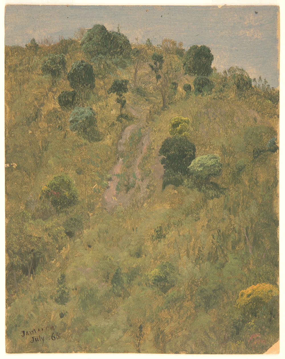 Landschap, Jamaica door Frederic Edwin Church