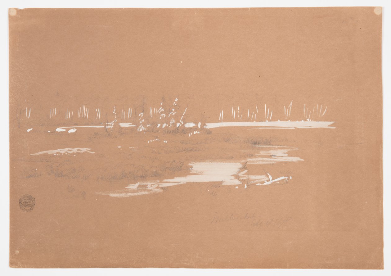 Moerassig landschap bij Millinocket, Maine door Frederic Edwin Church