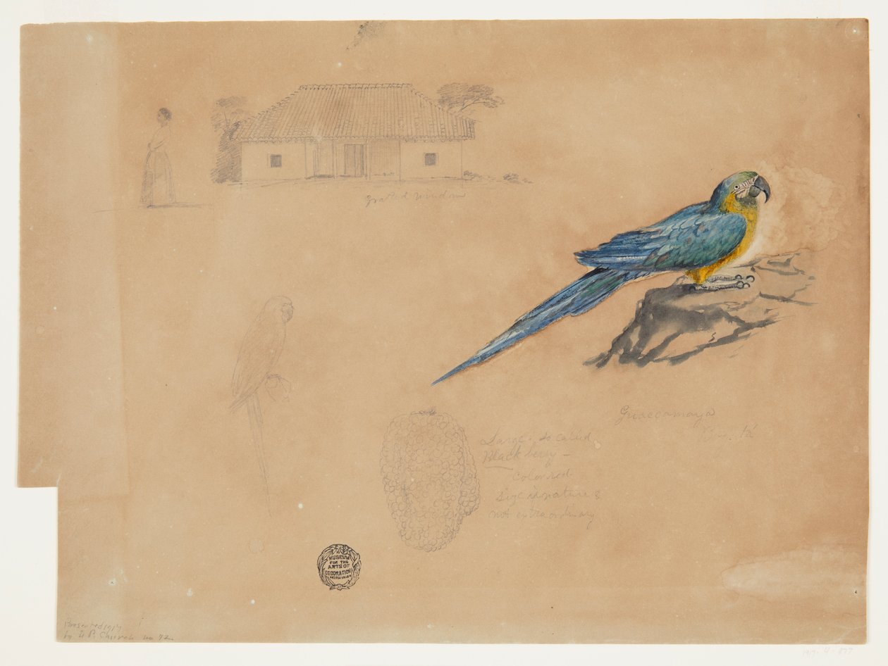 Studie van Guacamaya, Bogotá, Colombia door Frederic Edwin Church